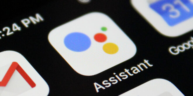 Google Assistant tanpa Menggunakan Internet