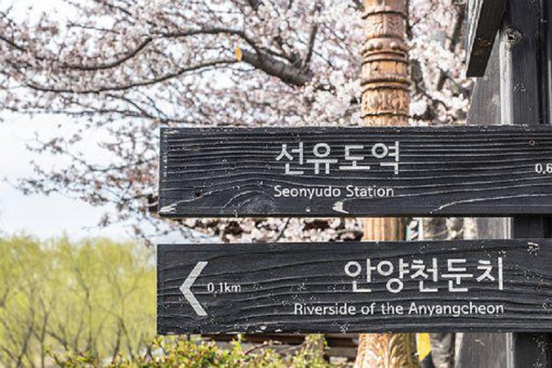 Tambah Wawasan Anda dengan Instal Aplikasi Belajar Bahasa Korea ini